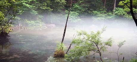 kamifogpond