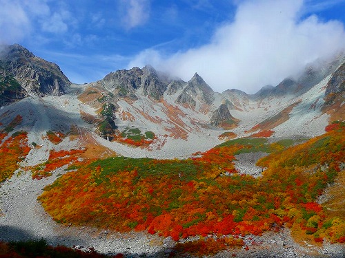 10668168_466917690114486_2015150396_n[1]