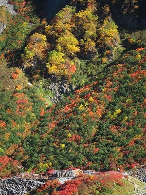 涸沢の紅葉2014年