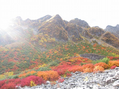涸沢の紅葉2014年