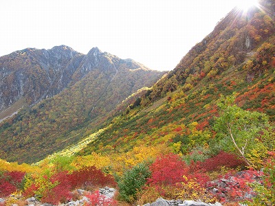 涸沢の紅葉2014年