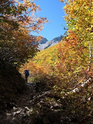 涸沢までの道中の紅葉2014年