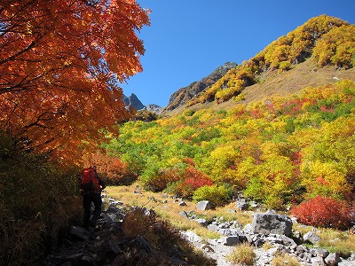 涸沢までの道中の紅葉2014年