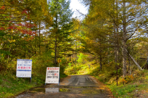 スーパー林道A線