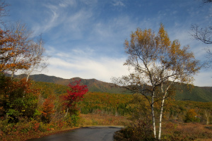 一ノ瀬一帯が紅葉に包まれる