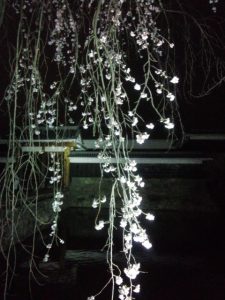 IMG_20150403_235215326