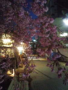 IMG_20150409_185057388