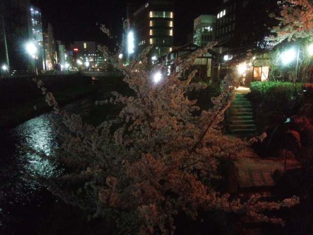 IMG_20150409_204406563