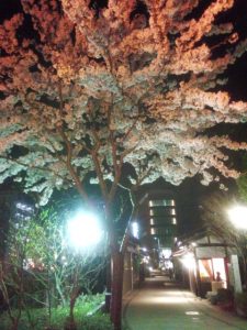 IMG_20150409_20450614