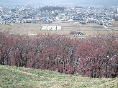 山頂からの眺め