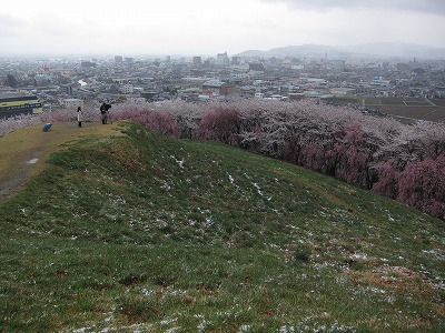 頂上からの眺め1