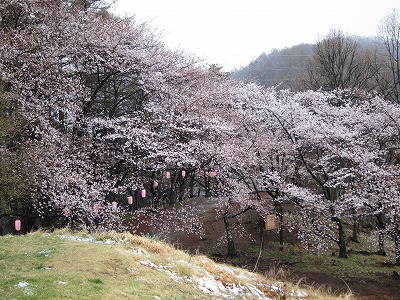 頂上からの眺め2