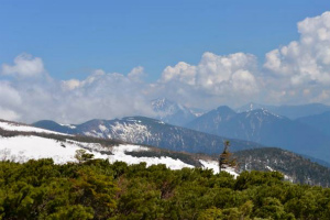 標高2500m 位ヶ原からは穂高も見える