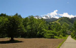そば畑と乗鞍岳