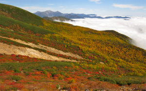 乗鞍岳の壮大な紅葉