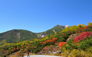 乗鞍エコーライン11号カーブ