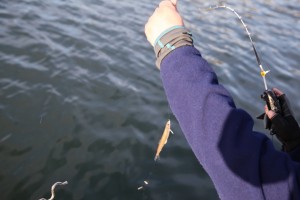 ウテナ荘より_1843