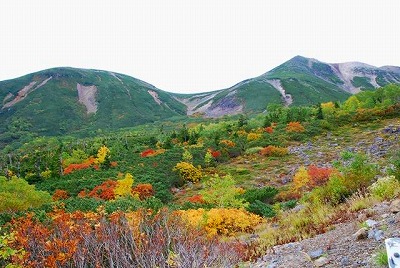 14317438_1802130219998823_5306472229154203064_n