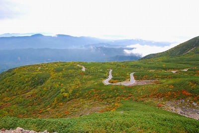 14344937_1802130083332170_675371124645194199_n