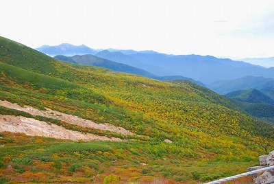 14355610_1802130093332169_5181520120005267989_n