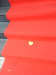 アルモニ―ビアン階段