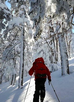 16730833_819082998229904_1323002476_n