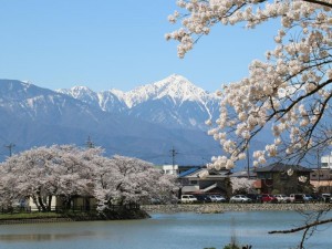 写真１　２０１７０４１８