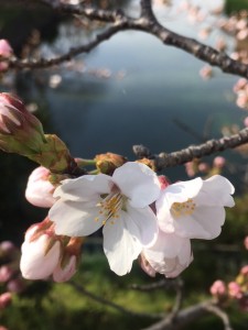 4/10 新町総掘り