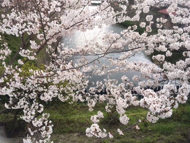 2017/2/15 総掘り新町