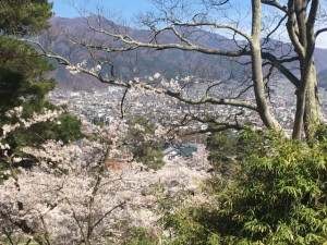 2017-4-18 城山公園　２