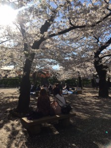 2017-4-18 松本城公園3