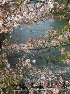 2017/4/19 総掘り新町