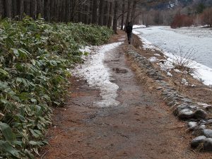 バスターミナルから河童橋へ（梓川左岸）