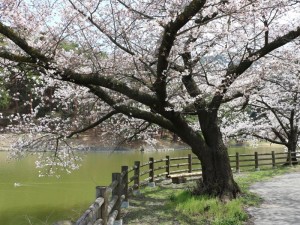 ②２０１７０４１６