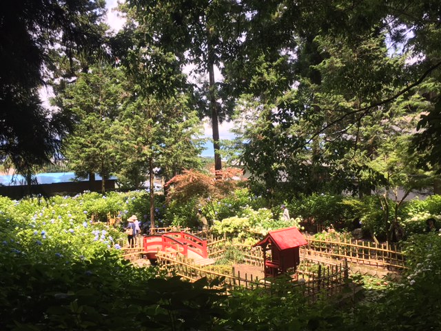 弘長寺を見降ろす