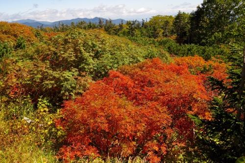 21942155_1018557844950465_1079839986_n