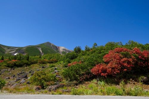 21984043_1018557841617132_2055905036_n