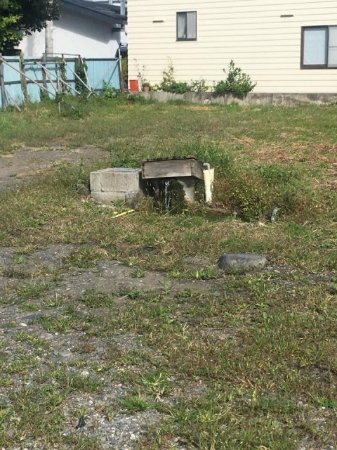 空き地の湧水