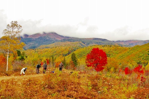 22500785_1029094627230120_2125496704_n