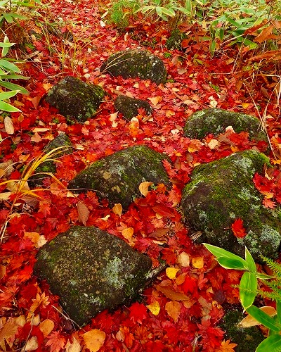 22500849_1029094647230118_45408268_n