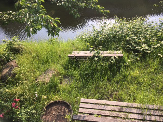 総掘りのベンチ 撮影2017年5月