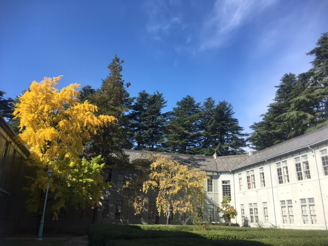 2017-11-1-あがたの森３