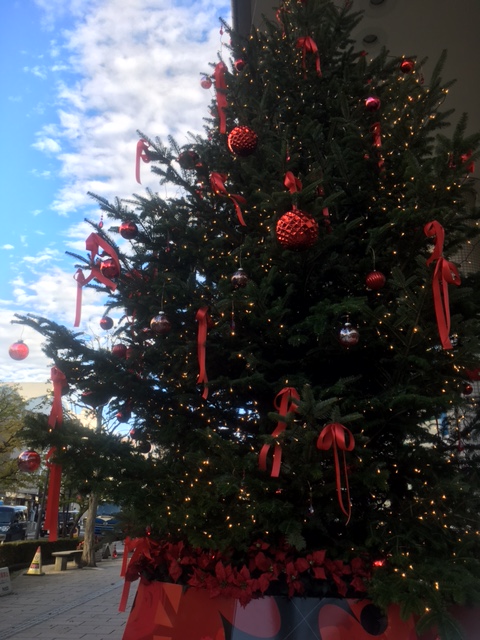 クリスマスツリー