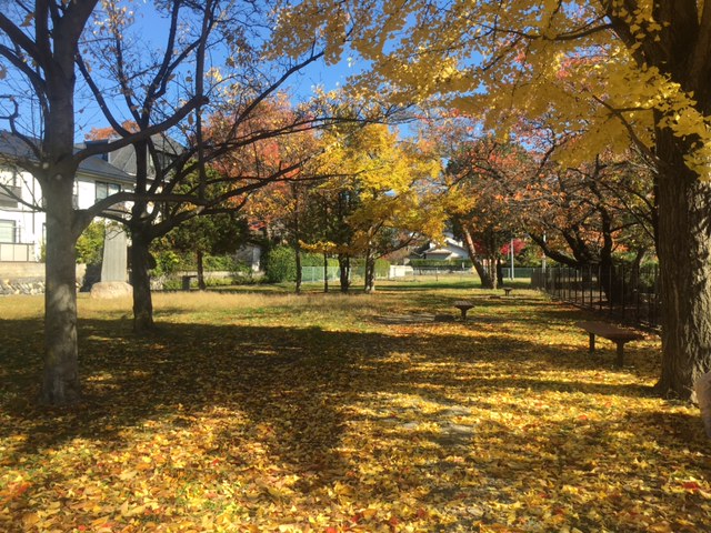 旧開智学校北側