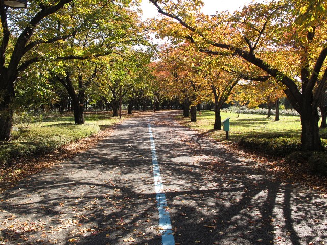 信州スカイパーク 花のプロムナードゾーン