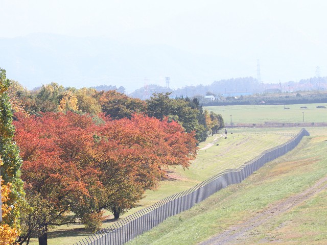 ターミナルビルのすぐ南側