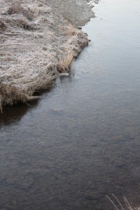 凍る川