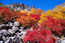 【写真】涸沢01